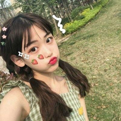 双生赤狐
